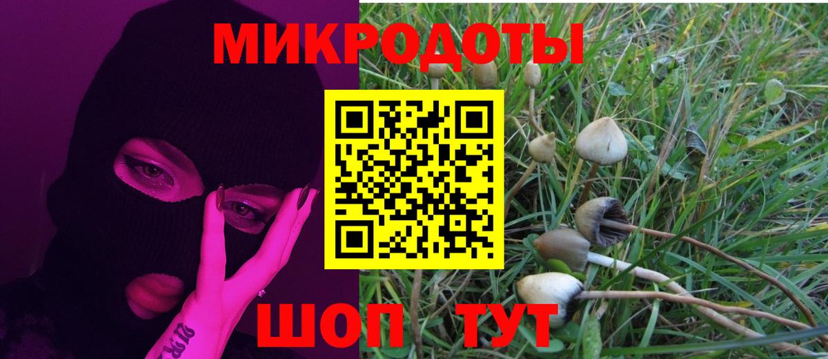Псилоцибиновые грибы Psilocybe  купить наркотик  Вход с VPN  Среднеуральск  Галлюциногенные грибы ЛСД 